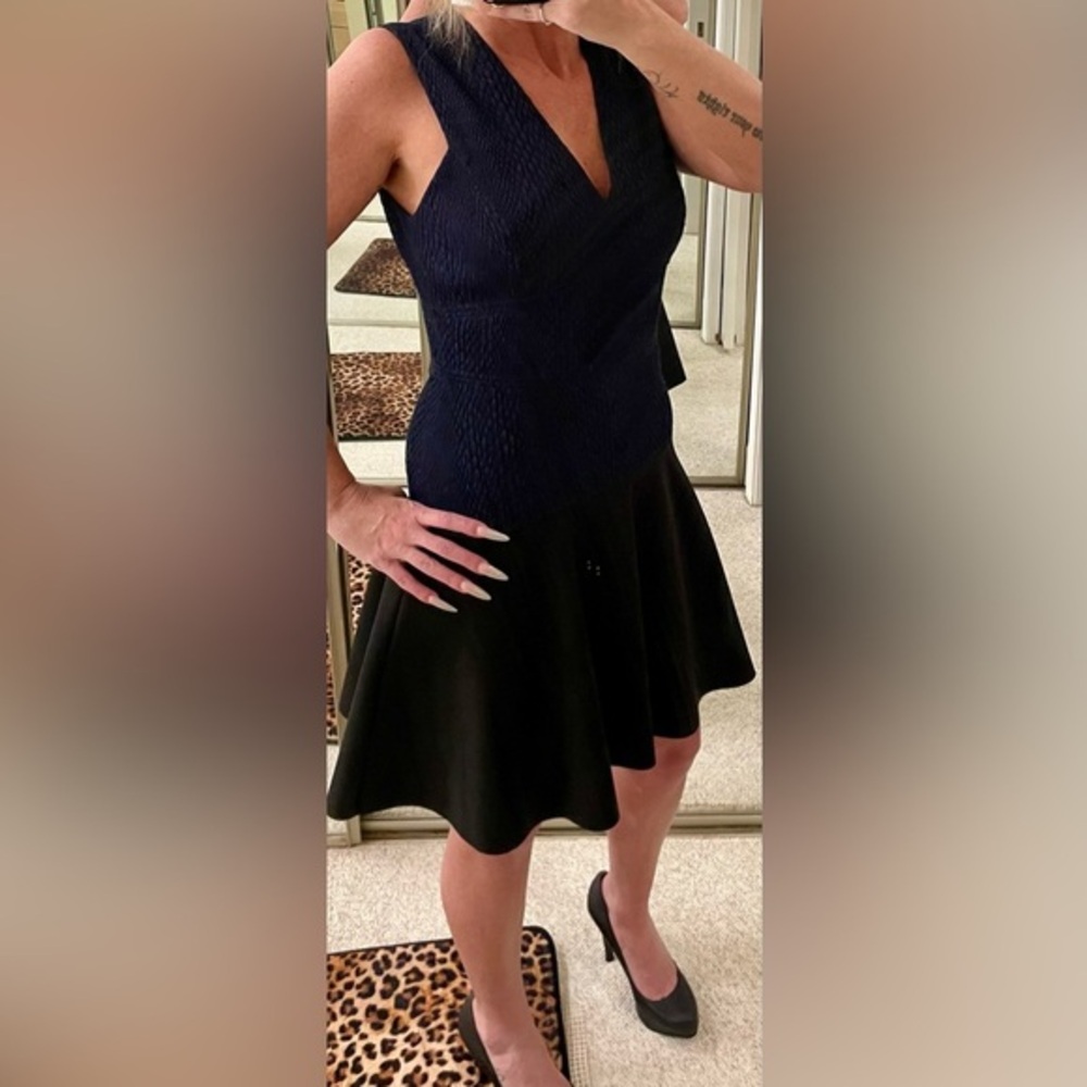 Rebecca Taylor Navy and Black Fit-and-Flare Dress